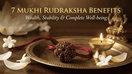7 Mukhi Rudraksha Benefits