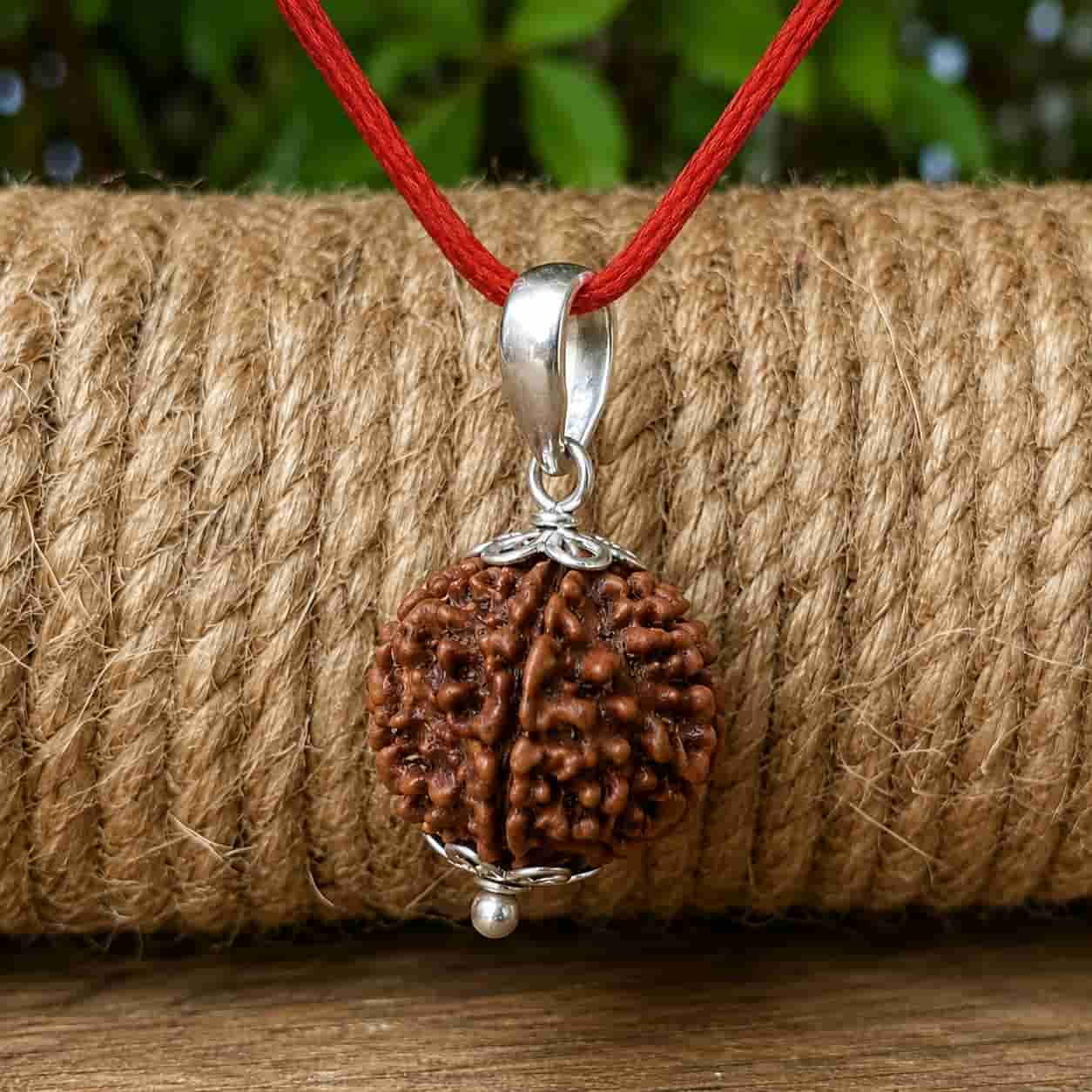 Natural 7 Mukhi Rudraksha